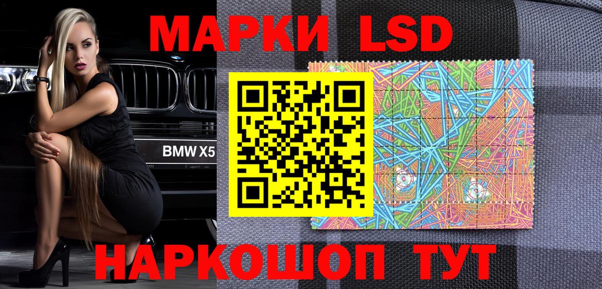 Курчалой  Марки 25I-NBOMe 1500мкг  где найти наркотики  Вход с VPN  Марки 25I-NBOMe 1500мкг 